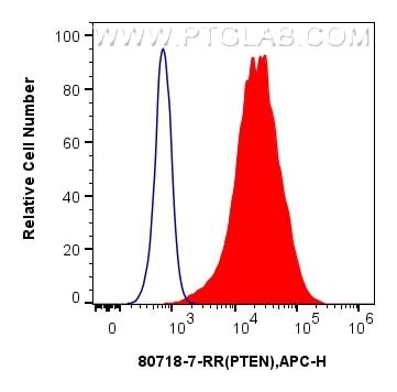 PTEN antibody (80718-7-RR) | Proteintech