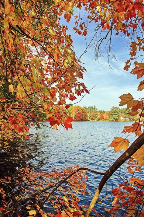 Autumn bucket list the best things to do in autumn – Artofit