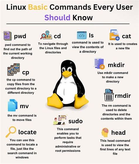 Image result for Basic Commands for Linux File Execution