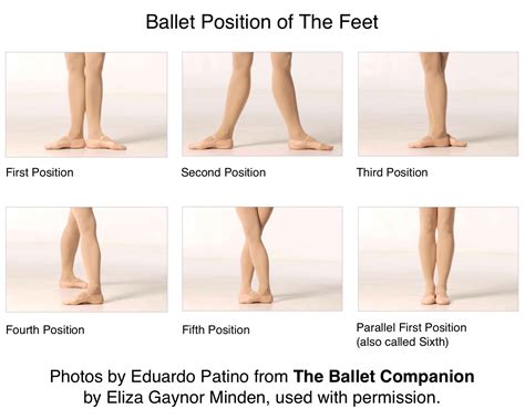Ballet Adult with Patrice Leroy