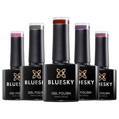 Company Overview - Guangzhou Bluesky Chemical Technology Co., Ltd.