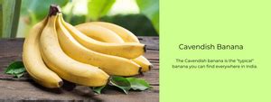 Cavendish Banana – Health Benefits, Uses and Important Facts ...
