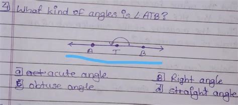 what kind of angle is ∆ ATB? (a) acute angle (b) right angle (c ...