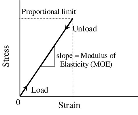 Elastic Strain 的图像结果