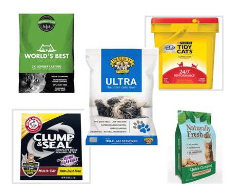 Cat Litter Brands | The Cat Litter Expert