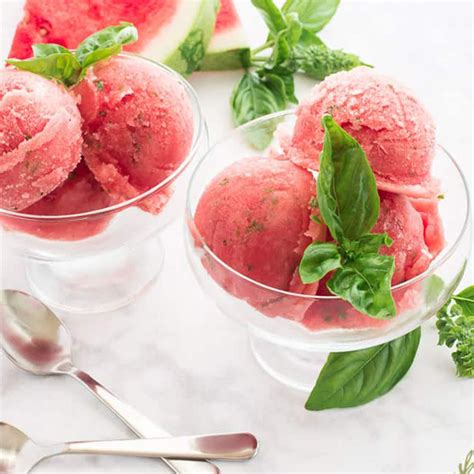 10 Delicious Sorbet Recipes for An Ice Cream Maker - Homebody Eats