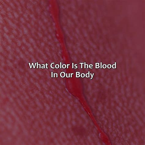 What Color Does Purple And Orange Make - colorscombo.com