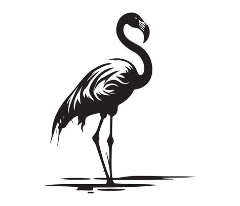 Flamingo Black And White