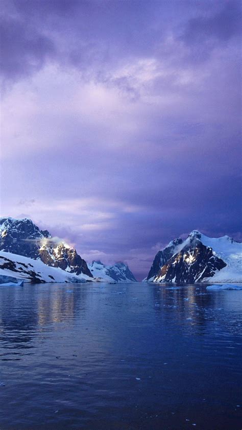 [100+] Antarctica Wallpapers | Wallpapers.com