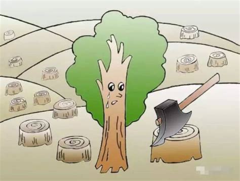 《森林法》规定，砍自家的树也要申报，否则被抓并可能获刑...