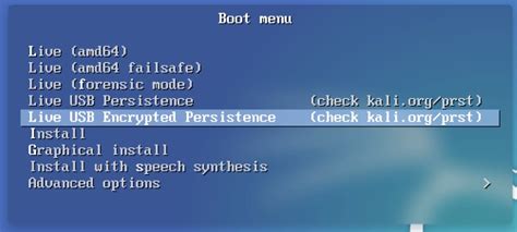 Image result for Kali Linux Persistent USB