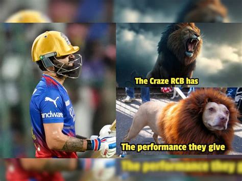 RCB Brutally TROLLED As Memes Pour In After Loss To LSG In IPL 2024 ...