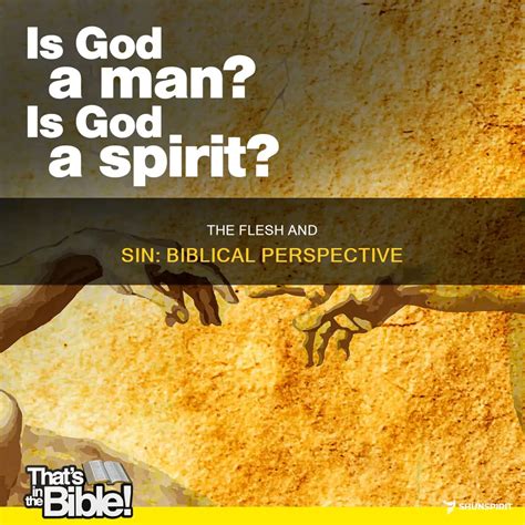 The Flesh And Sin: Biblical Perspective | ShunSpirit