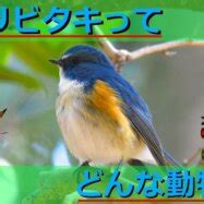 Image result for Google Maps API Website Examples