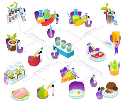 Food Consultant in Chennai, Bangalore, India – Food Innovators