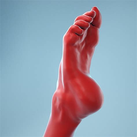 Crunched Toes Realistic Foot Model 04 | CGTrader