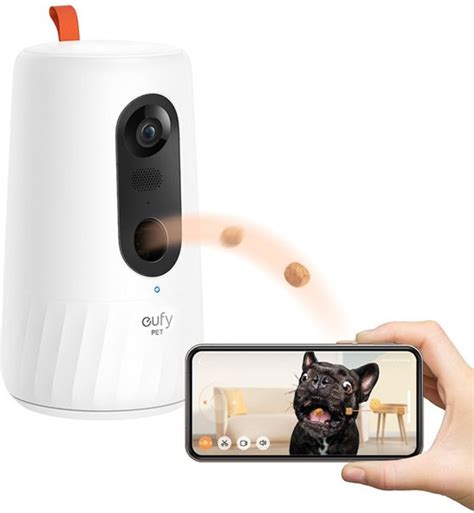 The 9 Best Pet Cameras to Buy in 2022 - PureWow
