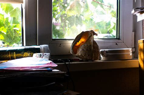 Image result for Type 4 Civilization