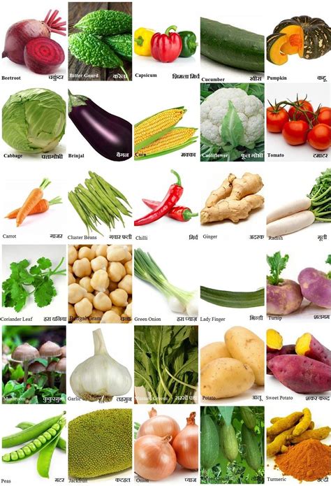 All Vegetables A-Z at Aimee Randall blog