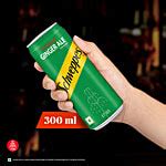 Buy Schweppes Original Ginger Ale Flavoured Soft Drink - Refreshing ...
