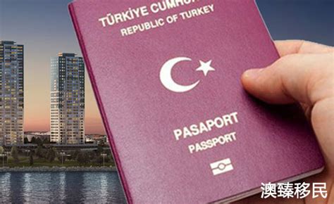 土耳其护照排名