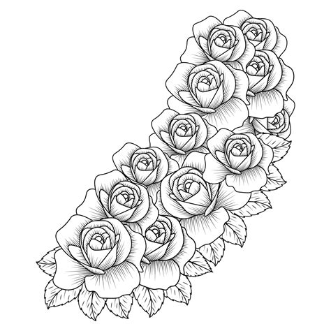 Rose Drawing Line Art at Katharyn Frisina blog