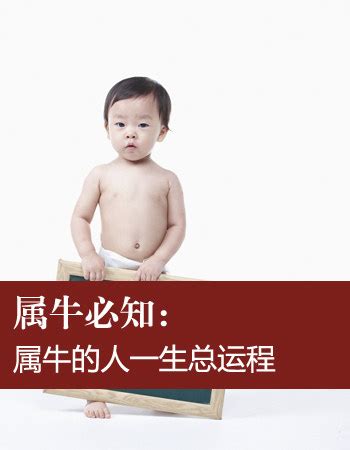 2022年1月牛宝宝是什么命出生的宝宝是牛宝宝-中国风投网