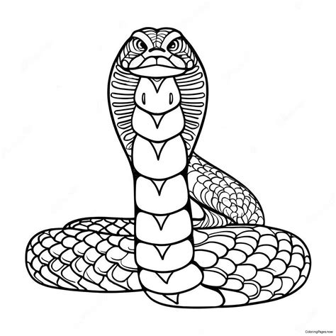 King Cobra Coloring Page (10276-8374)