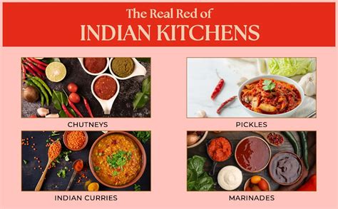 NATIVE AGAIN Byadgi Red Chilli Powder 250g - Authentic Sun-Dried Lal ...