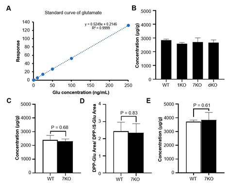 Tubulin Polyglutamylation by TTLL1 and TTLL7 Regulate Glutamate ...