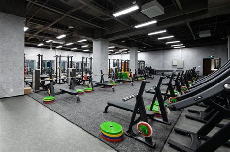 Gym体育馆 的图像结果