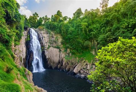 The Beauty of Khao Yai National Park: A Complete Guide