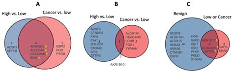 Cancers | Special Issue : Tumor Markers in Lung Cancer: Current ...