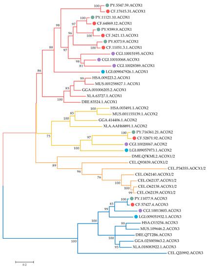 Expression Plasticity of Peroxisomal Acyl-Coenzyme A Oxidase Genes ...
