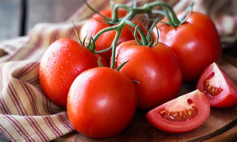 Vegetable Powders & Extracts Manufacturer & Producer in India