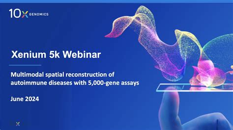 10X Spatial Transcriptomics 的图像结果
