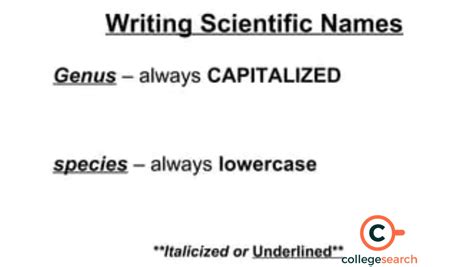 Image result for Scientific Name Example