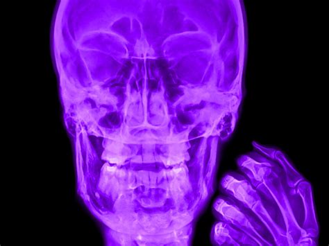 Alexander de Cadenet, The Collector (Violet), 2015 | Andipa Gallery