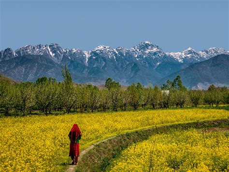 Swastik tour and Travels Jammu, Tour and travels in Jammu, Best Travel ...