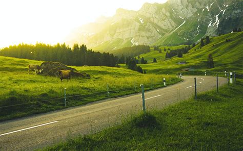 Country Landscape 的图像结果