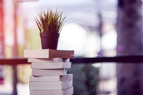 Image result for Book Report Introduction Examples