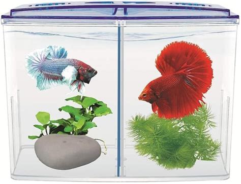 ANIMAUX Double House Betta Fish Tank Aquarium Isolation Box for Fighter ...