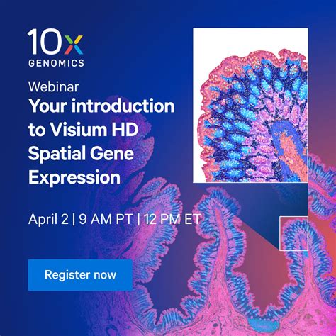 10X Spatial Transcriptomics 的图像结果