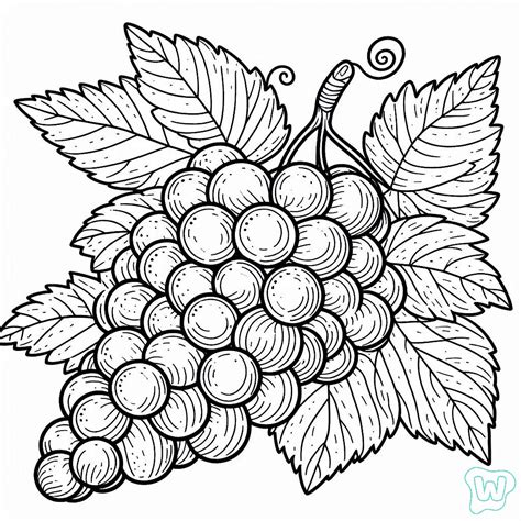 30 Grapes Coloring Pages - Have Fun Coloring Fruits