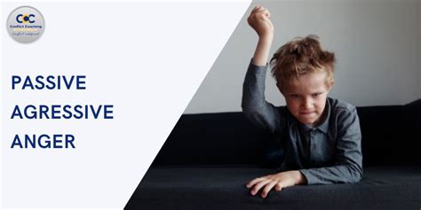 Image result for Aggressive Anger