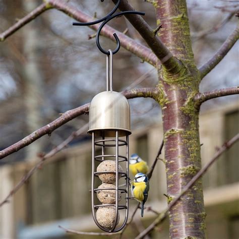 Buy Tree hanging fat ball feeder - brass: Delivery by Waitrose Garden