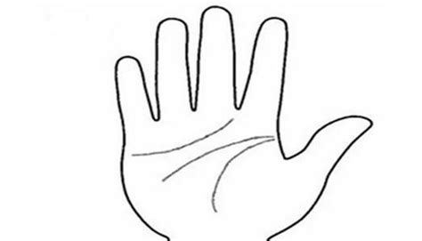 手掌简笔画 的图像结果