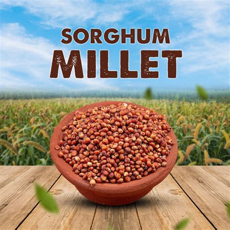 Sorghum / Solam 500g – Ueir Organic Foods