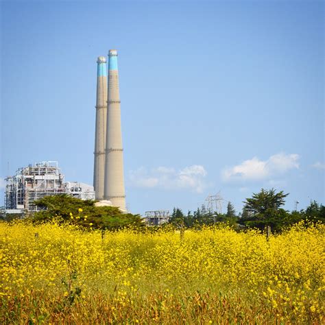 Visit Moss Landing: 2021 Travel Guide for Moss Landing, California ...