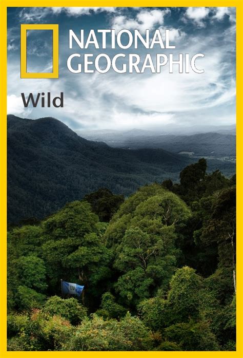 WILD 的图像结果